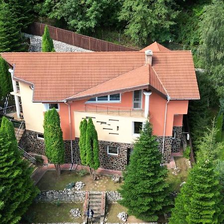 Marble Villa: Luxury Estate - Central But Intimate Σινάια Εξωτερικό φωτογραφία