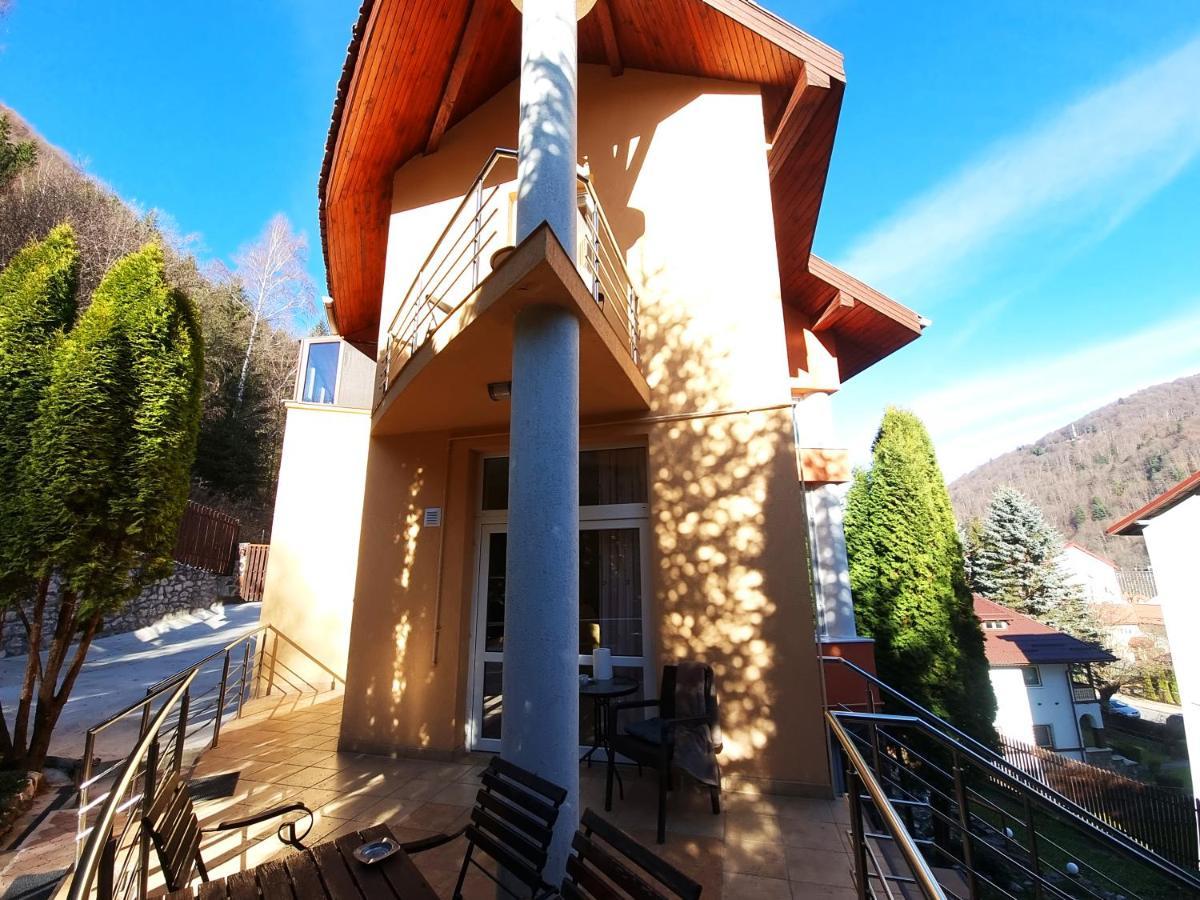 Marble Villa: Luxury Estate - Central But Intimate Σινάια Εξωτερικό φωτογραφία