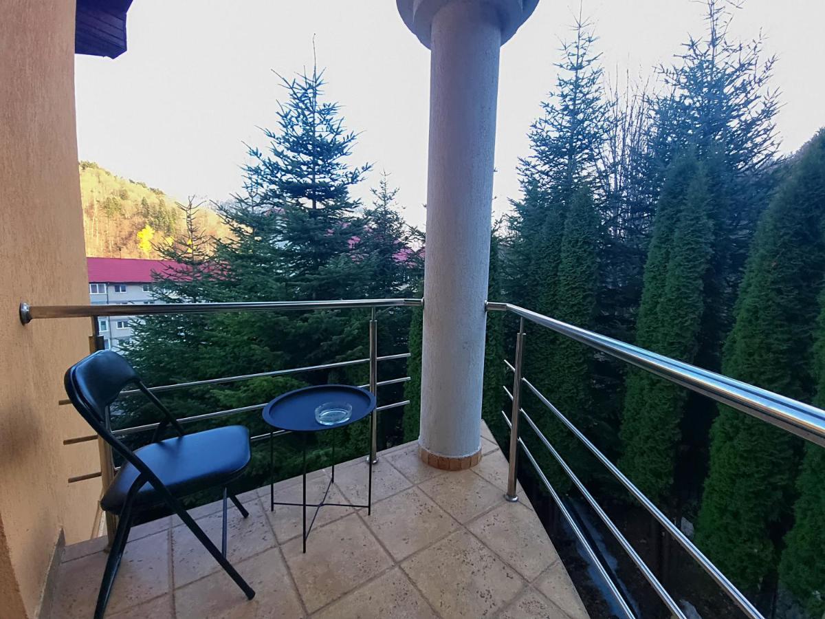 Marble Villa: Luxury Estate - Central But Intimate Σινάια Εξωτερικό φωτογραφία