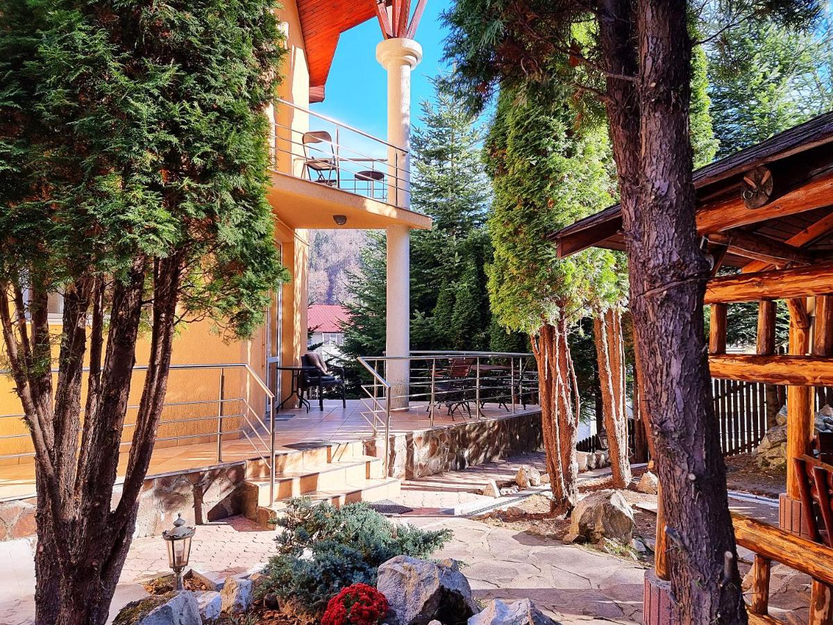 Marble Villa: Luxury Estate - Central But Intimate Σινάια Εξωτερικό φωτογραφία