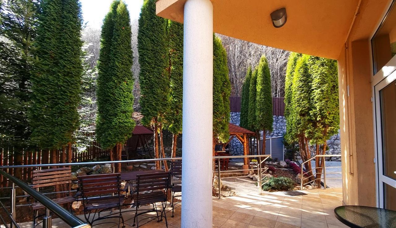 Marble Villa: Luxury Estate - Central But Intimate Σινάια Εξωτερικό φωτογραφία